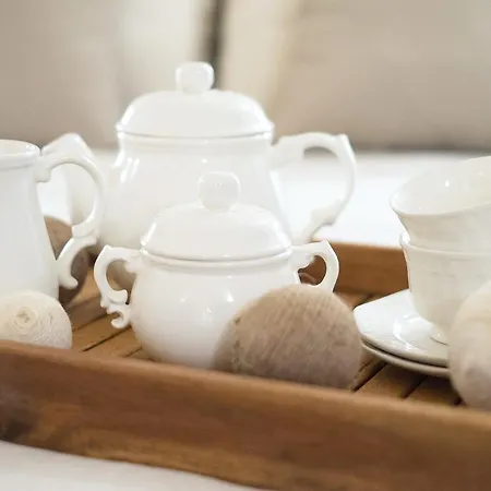 Hotel Nou Sant Antoni (adults Only) 3*