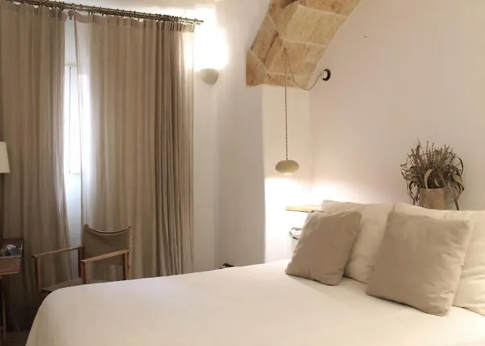 Nou Sant Antoni (adults Only)