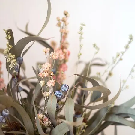 Nou Sant Antoni (adults Only) 3*