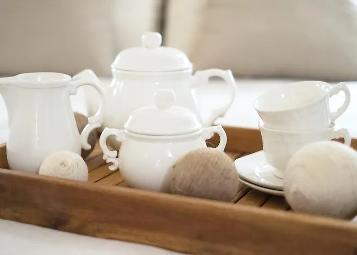 Hotel Nou Sant Antoni 3*